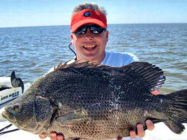 Tripletail